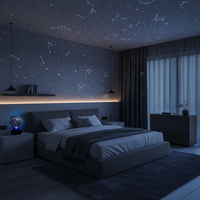 Starfield Constellation Projector Light